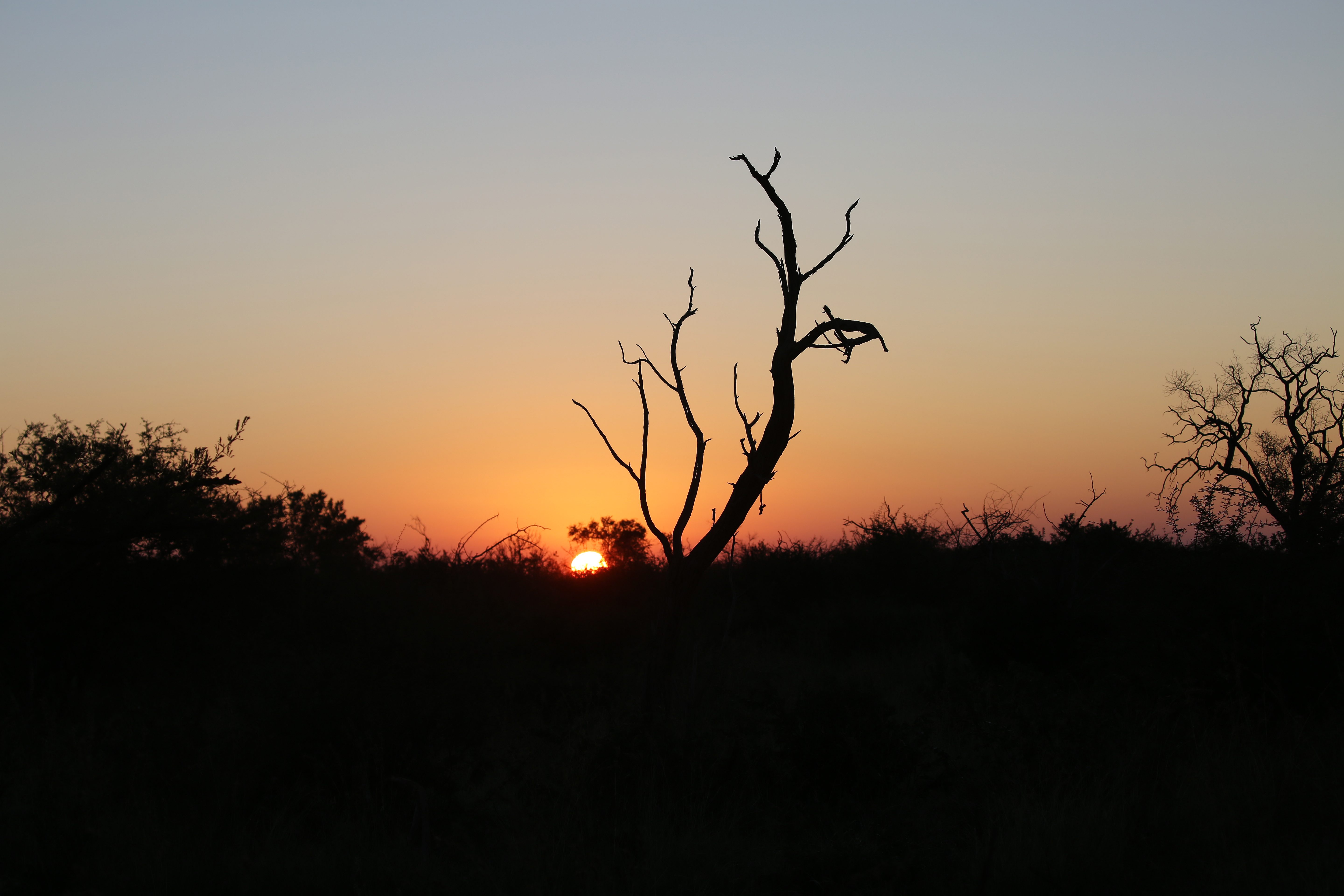 Mosetlha sunrise